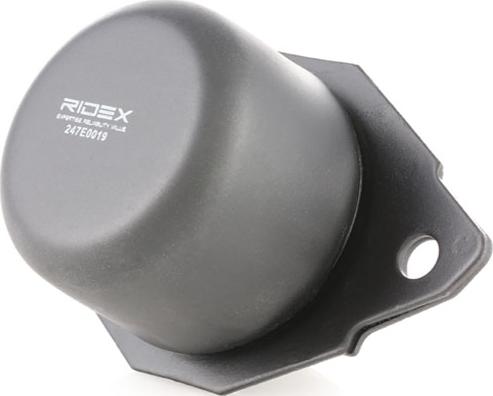 RIDEX 247E0019 - Holder, engine mounting car-mod.net