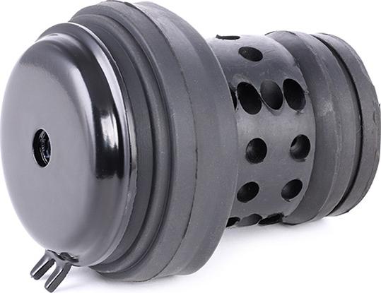 RIDEX 247E0028 - Holder, engine mounting car-mod.net