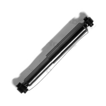 ROADMATIC 251088RM - Shock Absorber car-mod.net