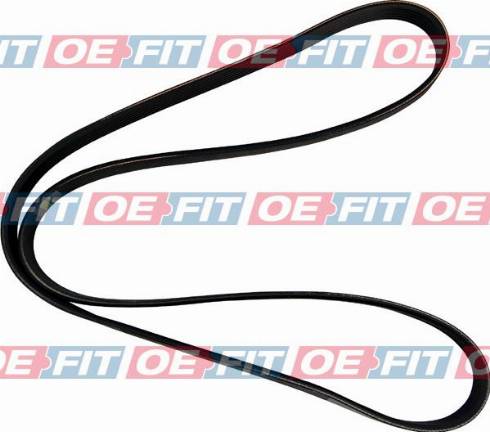 Schaeferbarthold 300 12 816 02 22 - V-Ribbed Belt car-mod.net