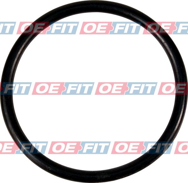 Schaeferbarthold 313 18 950 03 22 - Gasket, thermostat car-mod.net