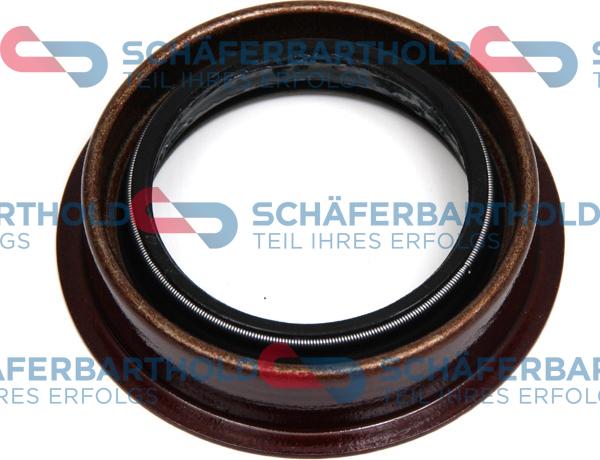 Schferbarthold 919 06 163 01 11 - Shaft Seal, differential car-mod.net