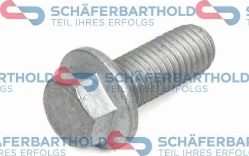 Schferbarthold 920 06 930 01 11 - Bolt, brake caliper car-mod.net