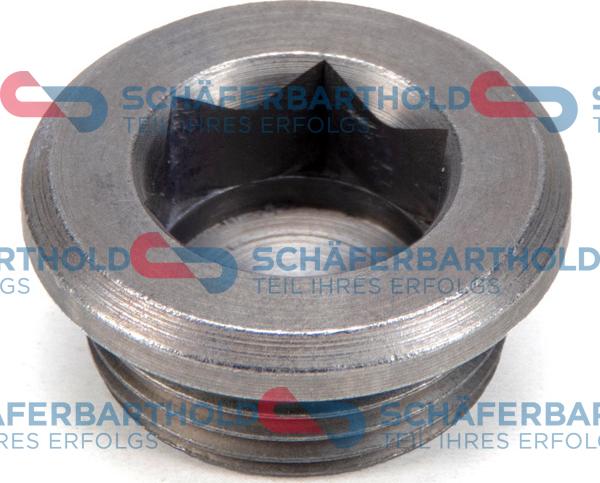 Schferbarthold 100 02 095 01 11 - Screw Plug, axle drive car-mod.net