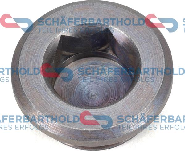 Schferbarthold 100 02 193 01 22 - Screw Plug, axle drive car-mod.net
