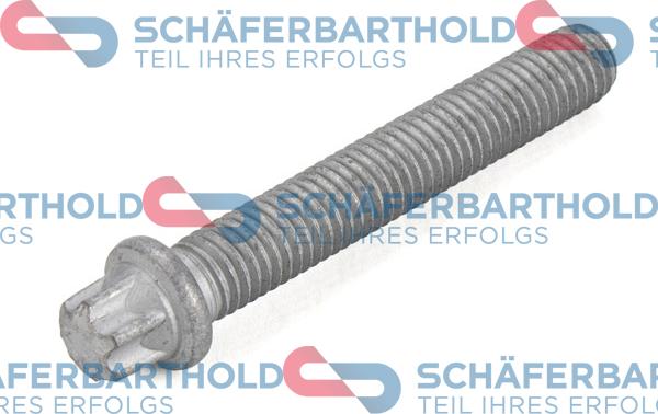 Schferbarthold 100 02 150 01 11 - Centering Bolt, crankshaft pulley car-mod.net