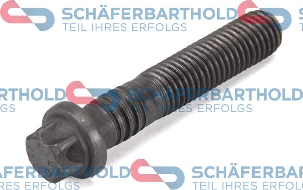 Schferbarthold 100 02 285 01 11 - Connecting Rod Bolt car-mod.net