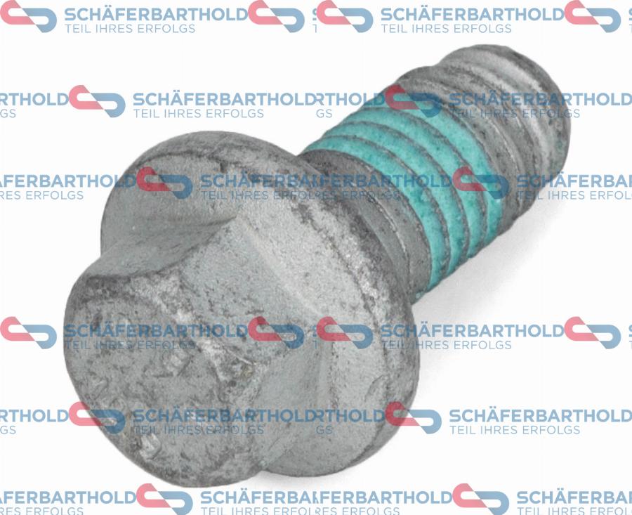 Schferbarthold 100 16 308 01 11 - Screw, pressure plate car-mod.net