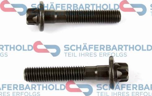 Schferbarthold 100 16 321 01 11 - Screw, camshaft gear car-mod.net