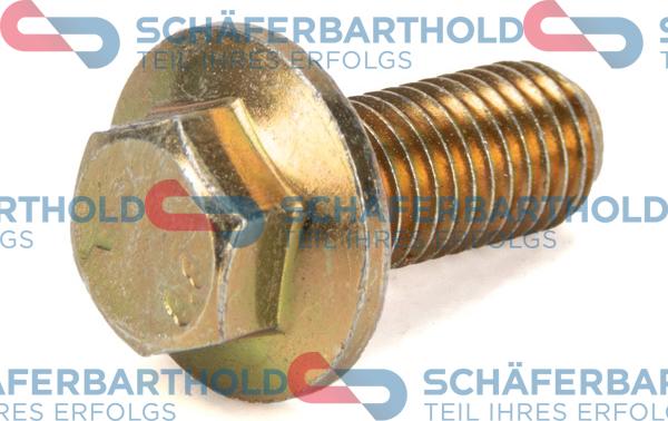 Schferbarthold 100 18 342 01 11 - Screw, automatic transmission oil tray car-mod.net
