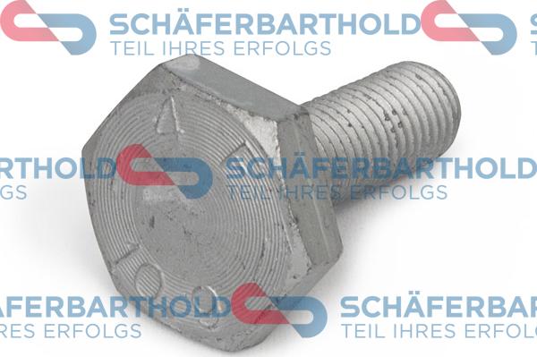 Schferbarthold 100 18 314 01 11 - Screw, camshaft gear car-mod.net