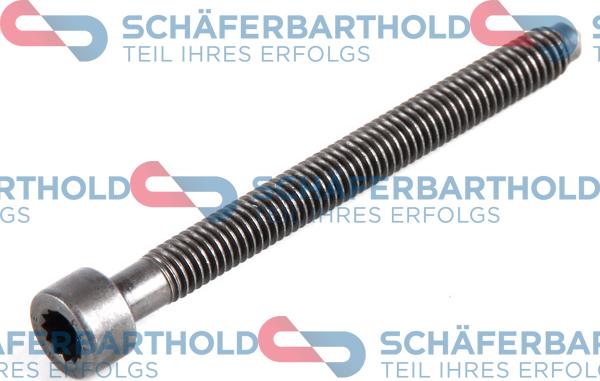 Schferbarthold 100 18 299 01 11 - Adjustment Screw, injector pump car-mod.net