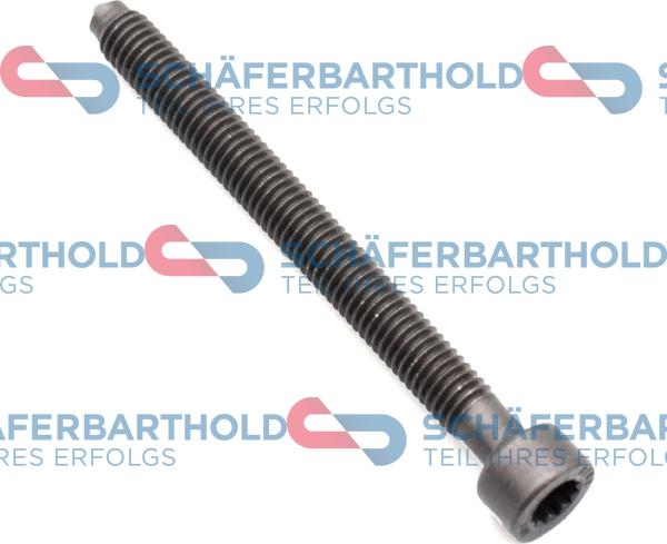 Schferbarthold 395 18 005 01 22 - Adjustment Screw, injector pump car-mod.net