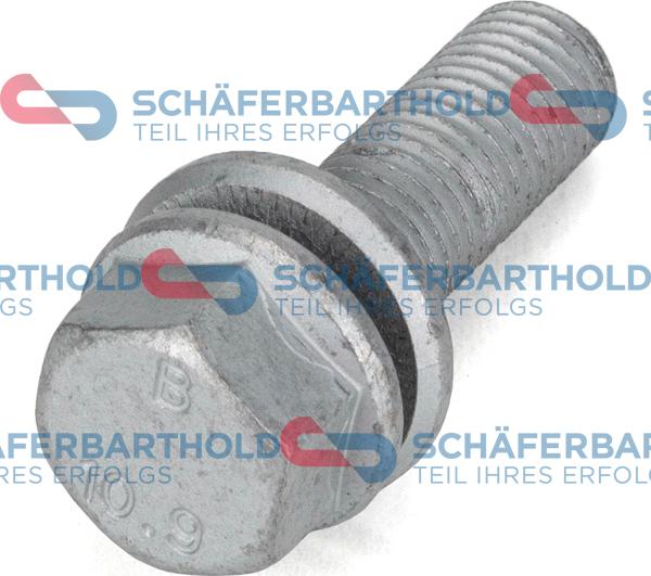Schferbarthold 395 18 024 01 22 - Bolt, brake caliper car-mod.net