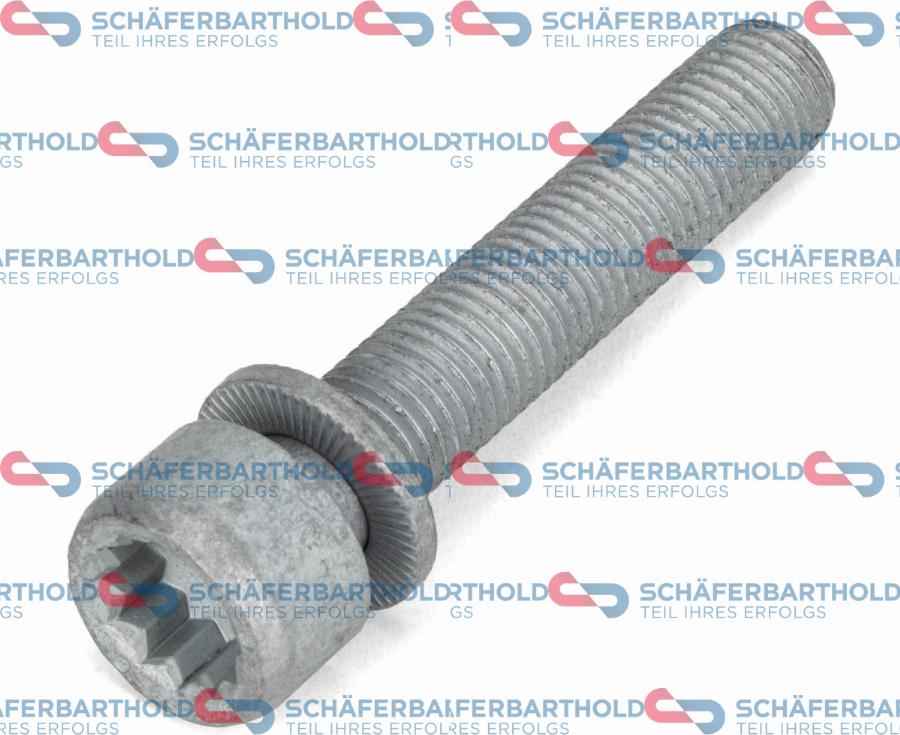 Schferbarthold 395 18 073 01 22 - Bolt, brake caliper car-mod.net