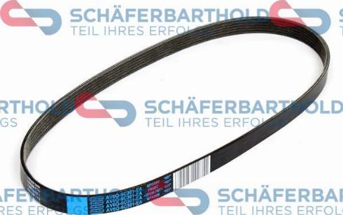 Schferbarthold 300 06 808 01 11 - V-Ribbed Belt car-mod.net