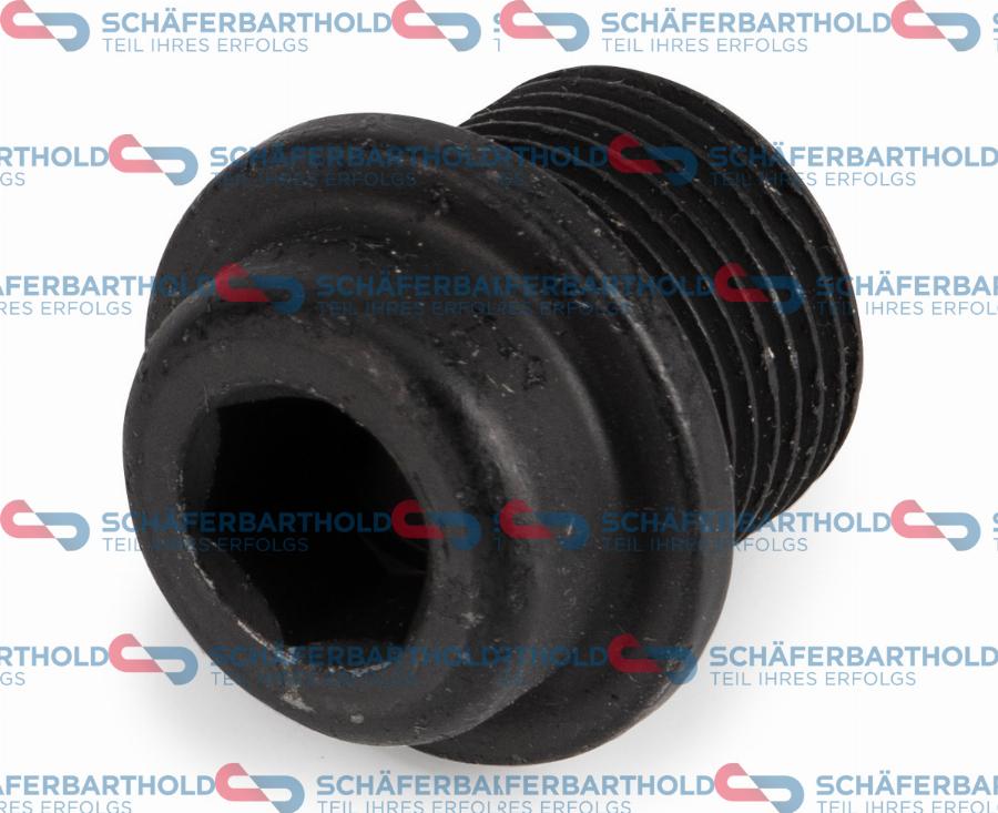 Schferbarthold 319 18 699 01 11 - Screw Plug, transmission housing car-mod.net