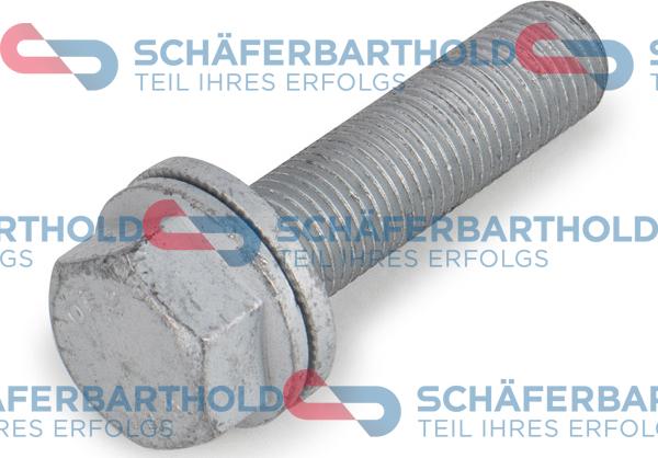 Schferbarthold 319 18 003 01 11 - Bolt, brake caliper car-mod.net