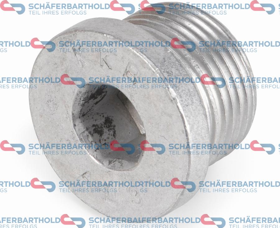 Schferbarthold 319 18 705 01 22 - Sealing Plug, oil sump car-mod.net
