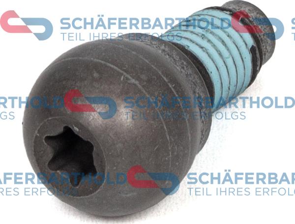 Schferbarthold 311 27 008 01 11 - Ball Stud, clutch control car-mod.net