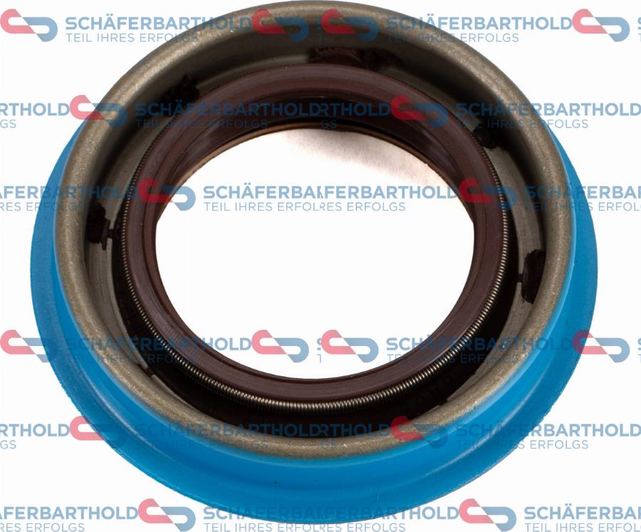 Schferbarthold 313 02 402 01 11 - Shaft Seal, manual transmission car-mod.net
