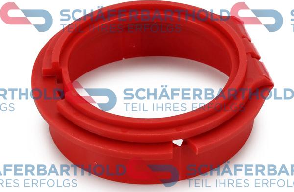 Schferbarthold 313 02 425 01 11 - Shaft Seal, differential car-mod.net