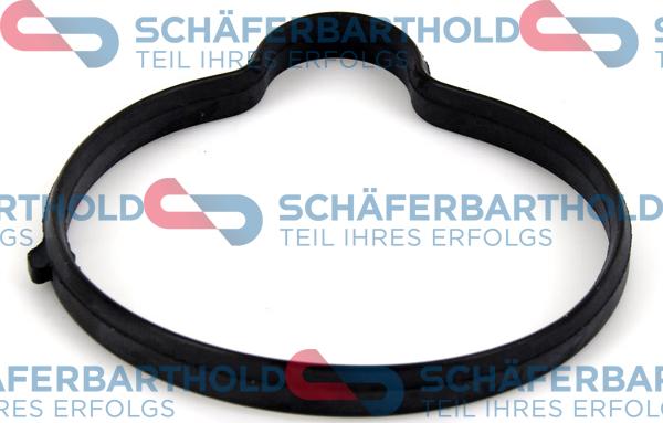 Schferbarthold 313 16 996 01 11 - Gasket, thermostat car-mod.net