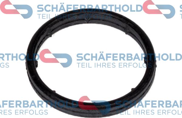 Schferbarthold 313 16 904 01 22 - Seal, oil filter housing car-mod.net
