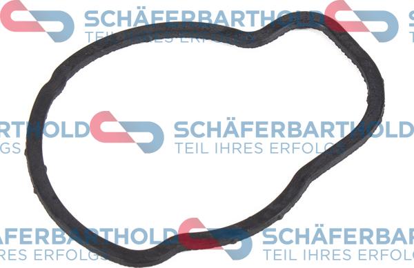Schferbarthold 313 16 980 01 11 - Gasket, thermostat car-mod.net
