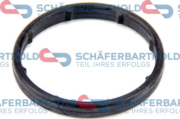 Schferbarthold 313 16 982 01 11 - Seal, oil filter housing car-mod.net