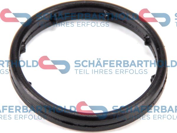 Schferbarthold 313 16 979 01 11 - Seal, oil filter housing car-mod.net