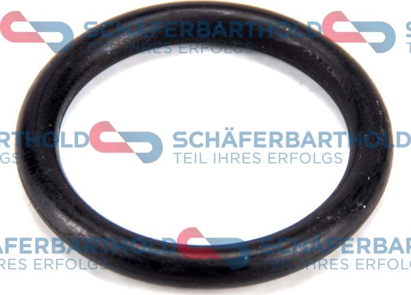 Schferbarthold 313 16 976 01 11 - Seal, oil filter housing car-mod.net