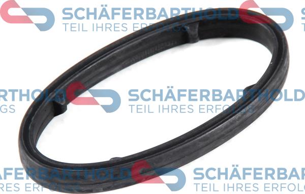 Schferbarthold 313 16 972 01 11 - Seal, oil filter housing car-mod.net