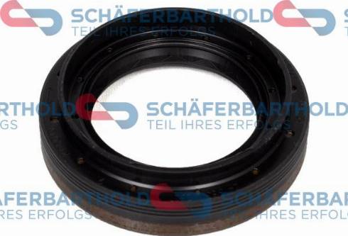 Schferbarthold 313 16 451 01 22 - Shaft Seal, differential car-mod.net