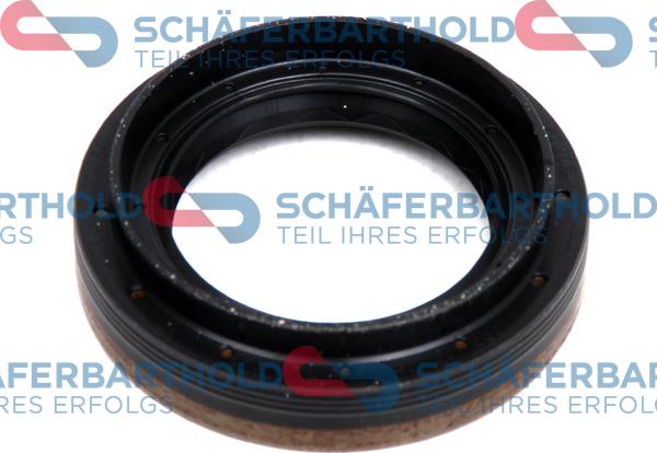 Schferbarthold 313 16 419 01 11 - Shaft Seal, differential car-mod.net