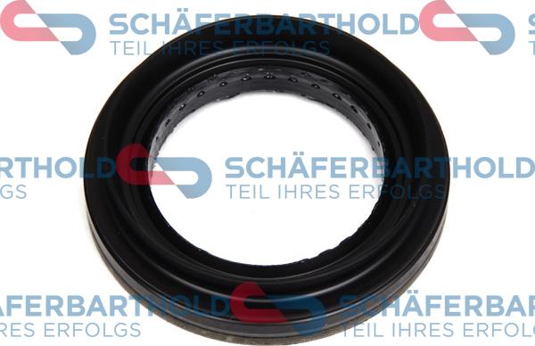 Schferbarthold 313 16 425 01 11 - Seal, drive shaft car-mod.net
