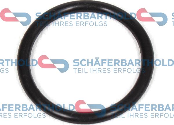 Schferbarthold 313 16 071 01 11 - Seal Ring, oil drain plug car-mod.net