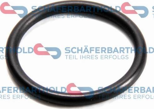 Schferbarthold 313 16 078 01 22 - Seal Ring, oil drain plug car-mod.net