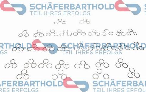 Schferbarthold 313 16 800 01 11 - Repair Kit, manual transmission car-mod.net