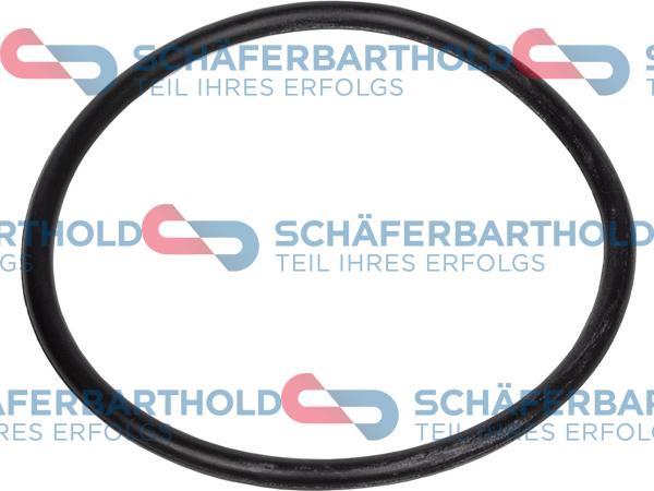 Schferbarthold 313 18 103 01 11 - Seal Ring, oil screen car-mod.net