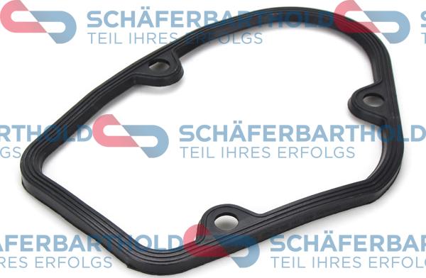 Schferbarthold 313 18 117 01 11 - Oil Seal, manual transmission car-mod.net