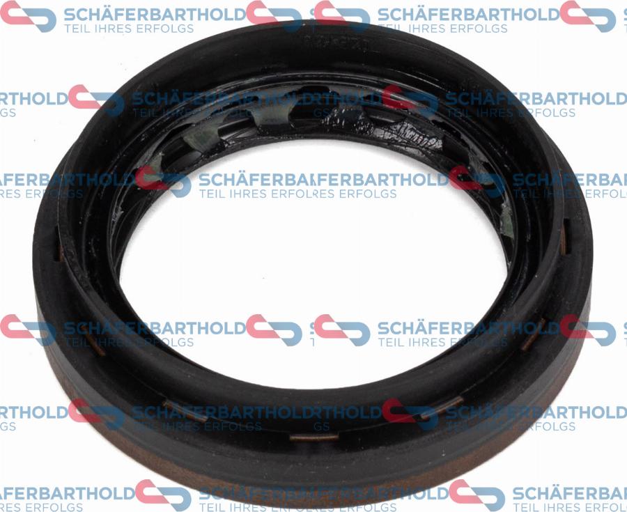Schferbarthold 313 28 414 01 22 - Shaft Seal, differential car-mod.net