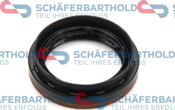 Schferbarthold 313 28 430 01 11 - Shaft Seal, differential car-mod.net