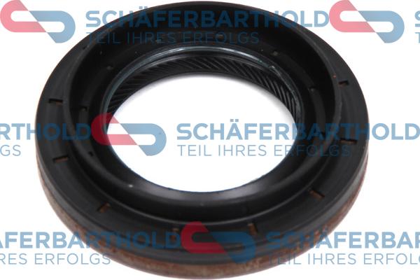 Schferbarthold 313 28 432 01 11 - Shaft Seal, differential car-mod.net