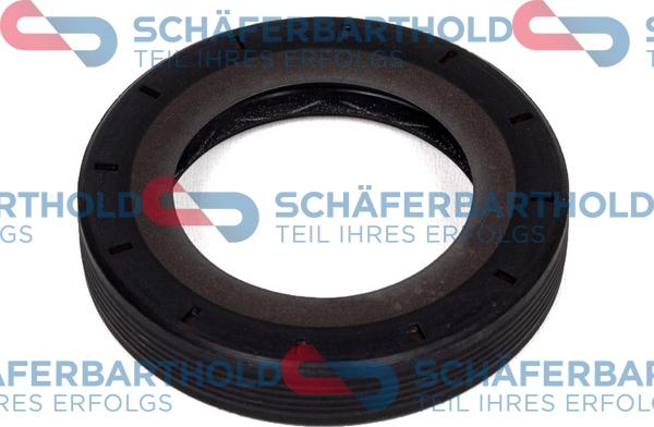 Schferbarthold 313 27 403 01 11 - Shaft Seal, differential car-mod.net