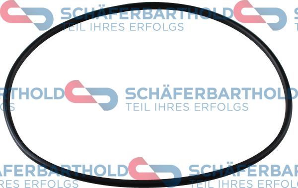 Schferbarthold 313 27 001 01 11 - Seal, fuel sender unit car-mod.net
