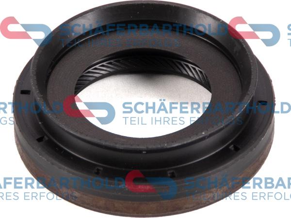Schferbarthold 313 27 119 01 11 - Shaft Seal, differential car-mod.net