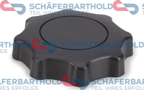 Schferbarthold 317 18 271 01 11 - Control, seat back adjustment car-mod.net