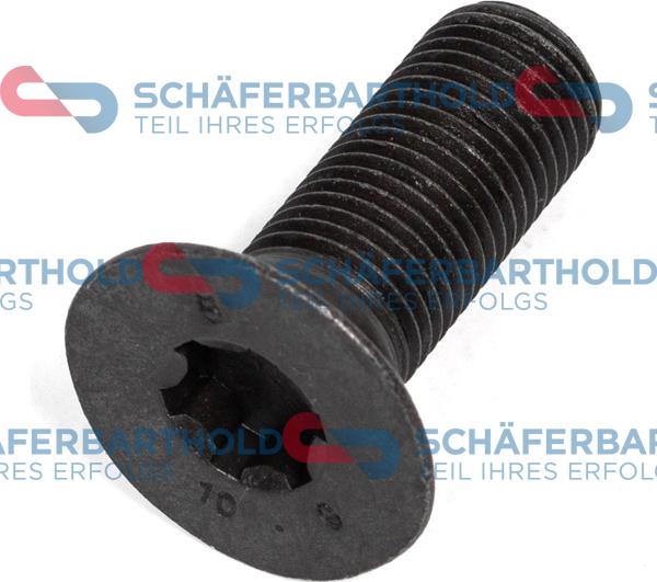 Schferbarthold 317 18 769 01 11 - Screw, camshaft gear car-mod.net
