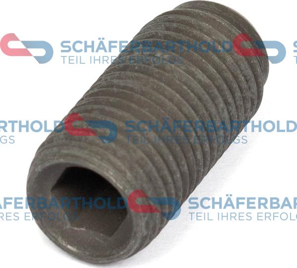 Schferbarthold 317 18 775 01 11 - Adjustment Screw, injector pump car-mod.net